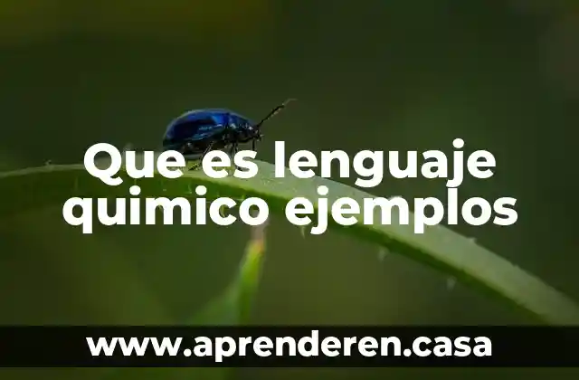 Que es lenguaje quimico ejemplos