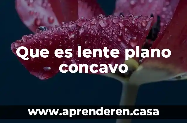 Qué es un plano del terreno 3 Que es lente plano concavo