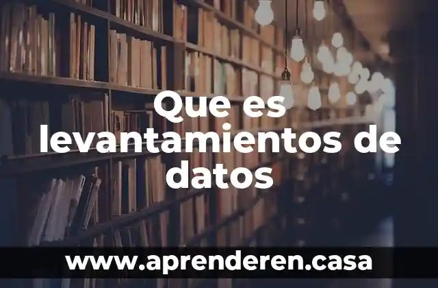 Qué es concepto de datos 7 Que es levantamientos de datos