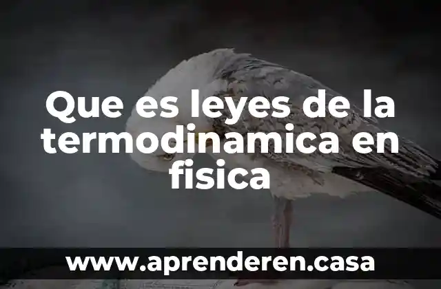 Que es leyes de la termodinamica en fisica