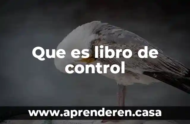 Que es libro de control