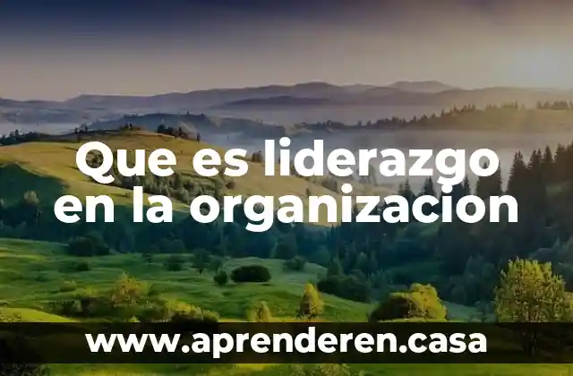 Que es liderazgo en la organizacion