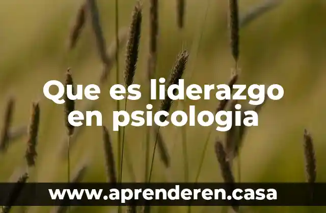 Que es liderazgo en psicologia