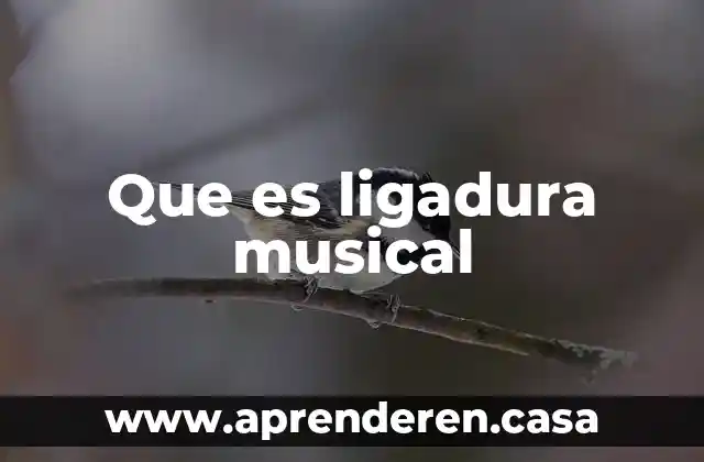Que es ambiente musical 8 Que es ligadura musical