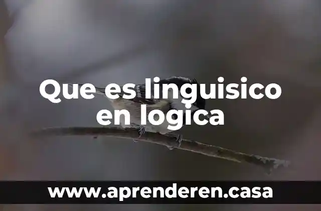 Que es linguisico en logica