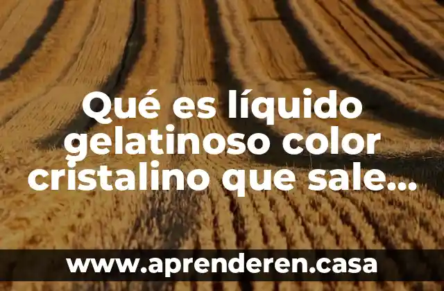 Qué es líquido gelatinoso color cristalino que sale de la bajina
