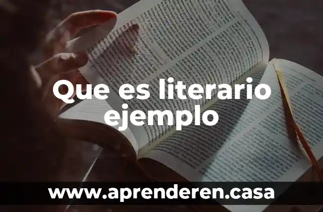 Que es literario ejemplo