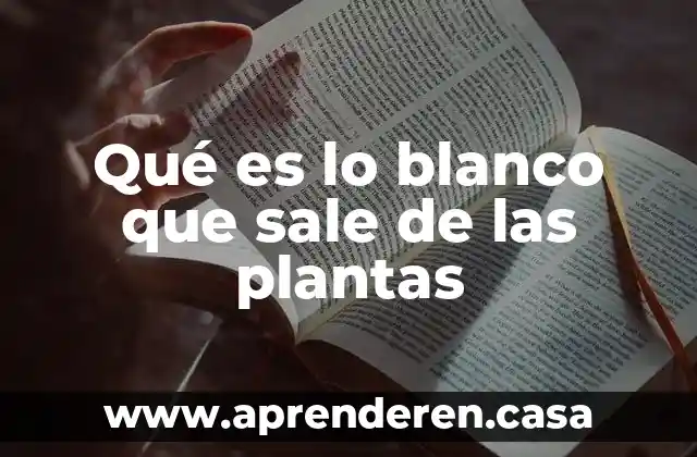 Citocinesisen plantas que es 3 Qué es lo blanco que sale de las plantas