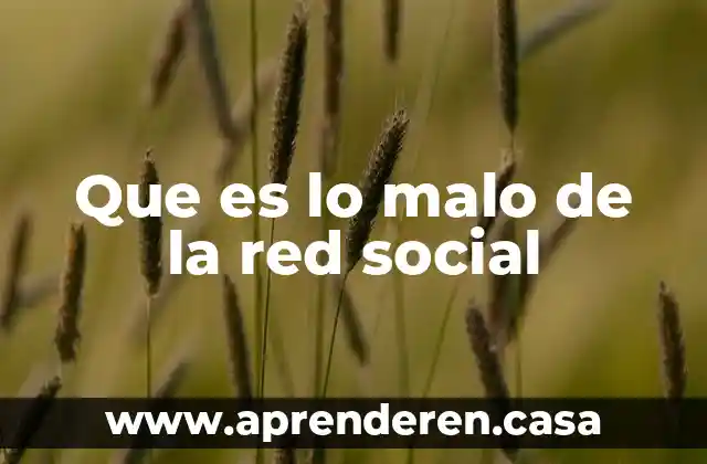 Que es lo malo de la red social