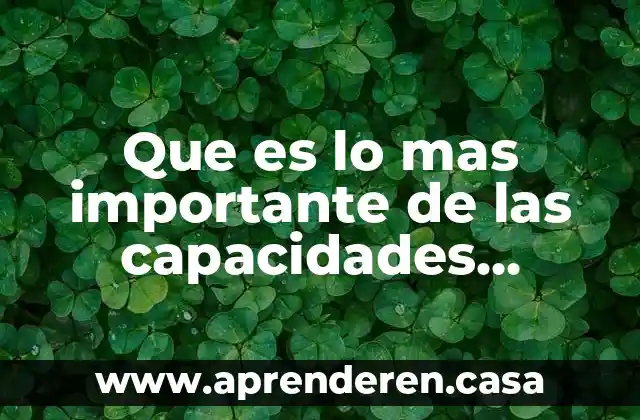 Que es lo mas importante de las capacidades diferentes