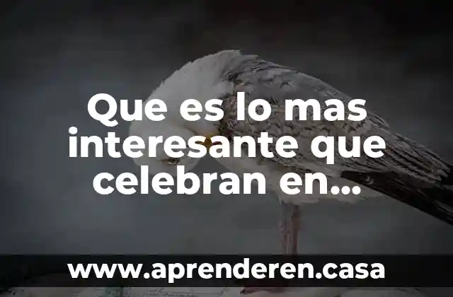Que es lo mas interesante que celebran en alemania