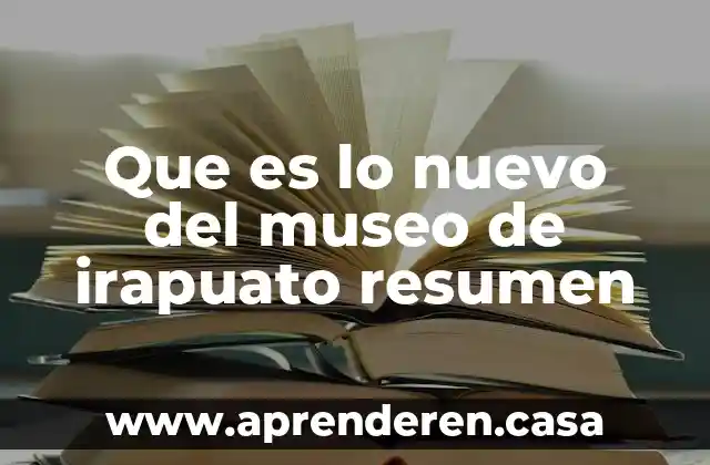 Qué es un mercado nuevo 5 Que es lo nuevo del museo de irapuato resumen