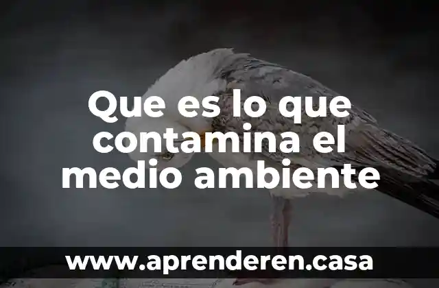 Que es lo que contamina el medio ambiente