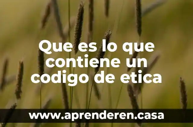 Que es lo que contiene un codigo de etica