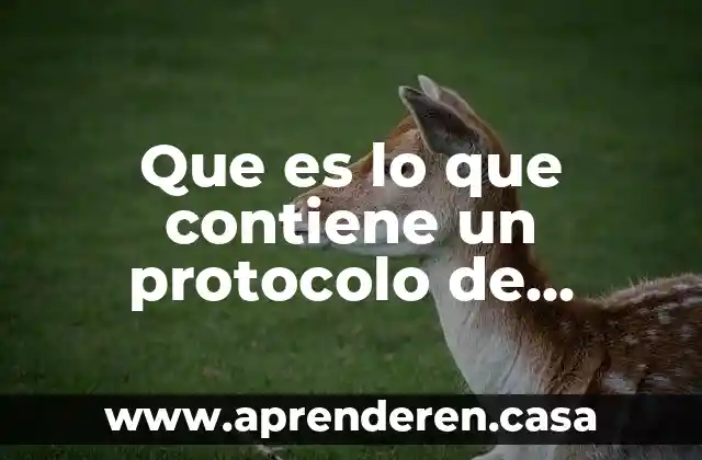 Que es la estructura del protocolo de investigacion 3 Que es lo que contiene un protocolo de investigación