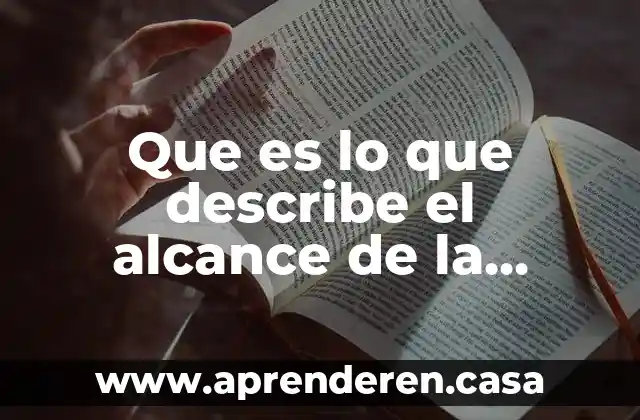 Que es lo que describe el alcance de la investigacion