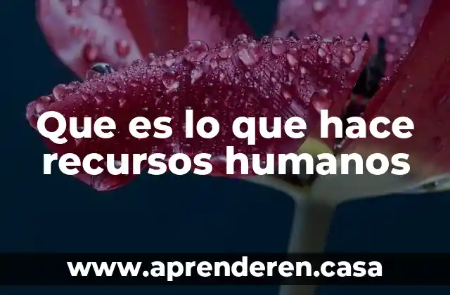 Que es lo que hace un administrador de recursos humanos 8 Que es lo que hace recursos humanos