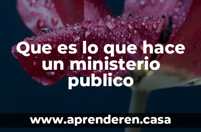 Que es lo que hace un ministerio publico