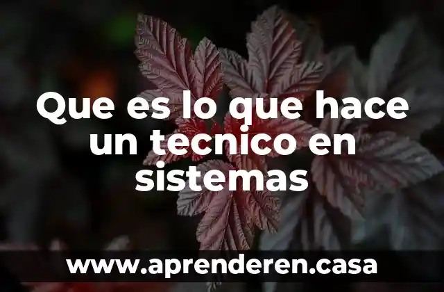Que es lo que hace un tecnico en sistemas