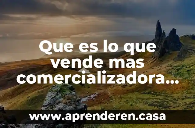 Que es lo que vende mas comercializadora de valor agregado