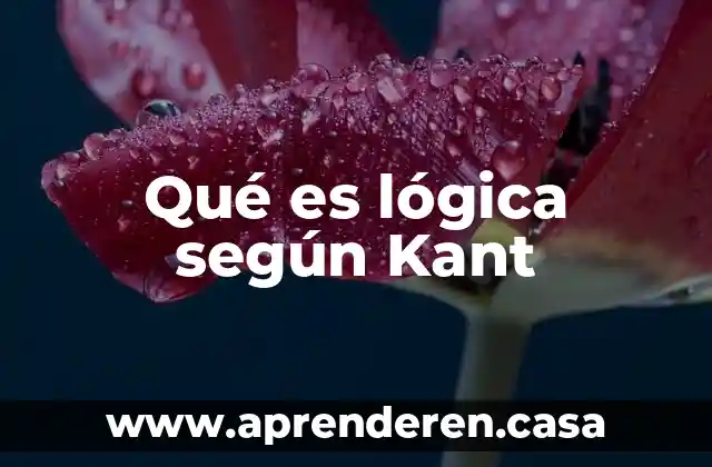 Qué es lógica según Kant