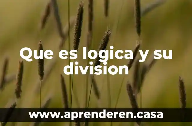 Que es logica y su division