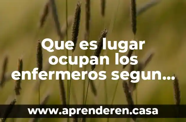 Que es lugar ocupan los enfermeros segun la oms