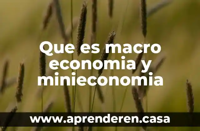Que es economia en el ambito empresarial 5 Que es macro economia y minieconomia