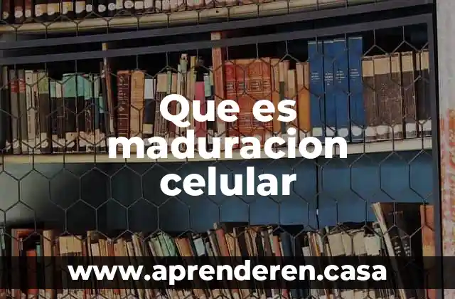 Que es maduracion celular