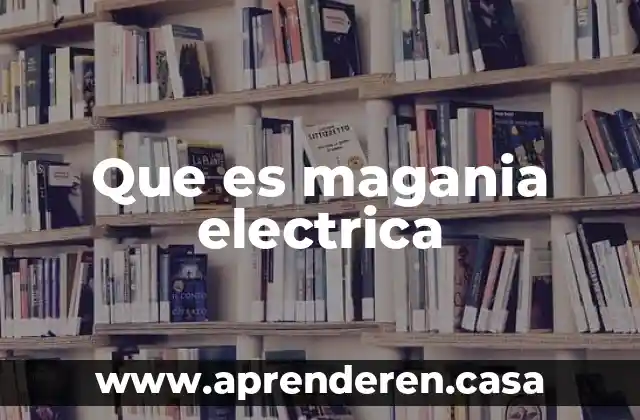 Que es magania electrica