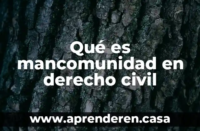 Que es crear en derecho 3 Qué es mancomunidad en derecho civil