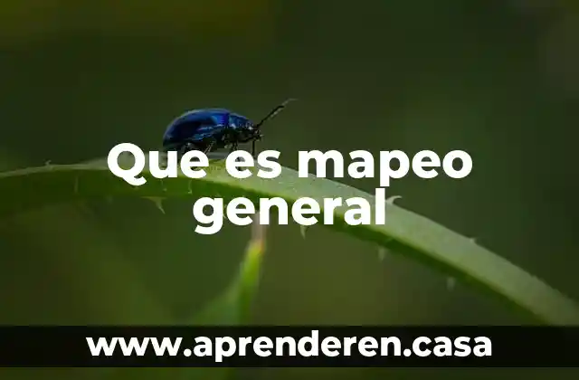 Que es mapeo general