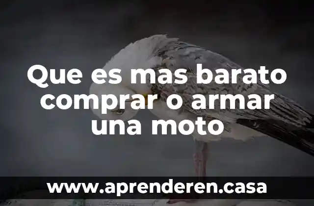Que es mas barato comprar o armar una moto