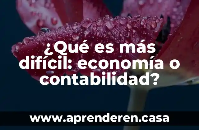 ¿Qué es más difícil: economía o contabilidad?