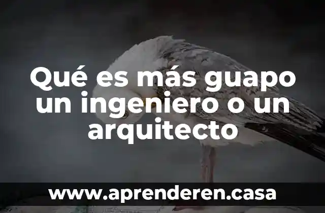 Que es lo mas importante del elefante 8 Qué es más guapo un ingeniero o un arquitecto