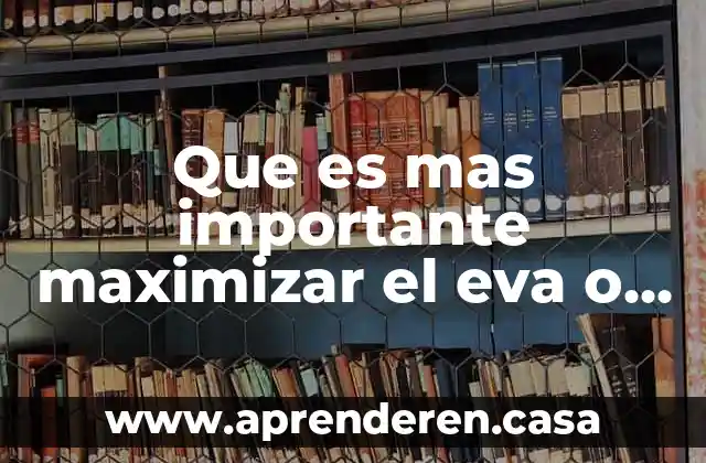 Que es mas importante maximizar el eva o la rentabilidad