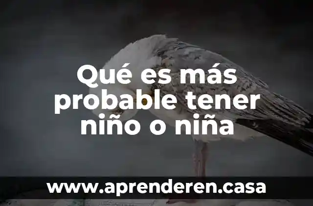 Qué es más probable tener niño o niña