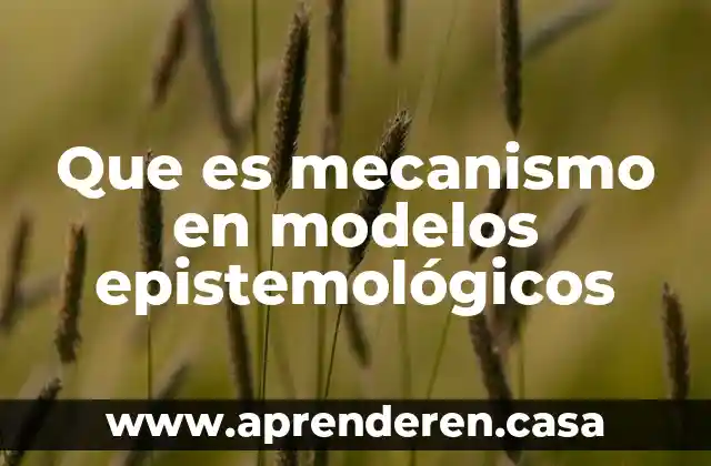 Que es mecanismo de aislamiento 4 Que es mecanismo en modelos epistemológicos