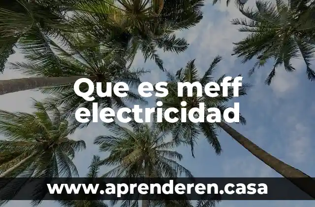 Que es meff electricidad