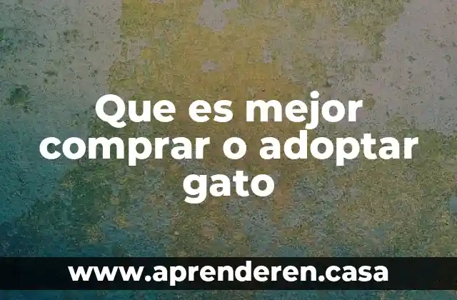 Que es mejor comprar o adoptar gato