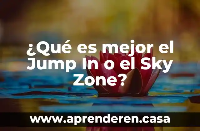 ¿Qué es mejor el Jump In o el Sky Zone?