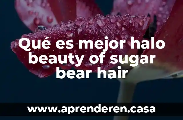 Qué es mejor halo beauty of sugar bear hair
