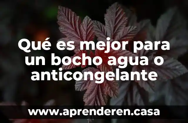 Qué es mejor para un bocho agua o anticongelante