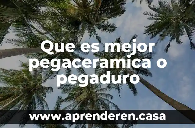 Que es mejor pegaceramica o pegaduro