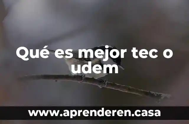 Que es una formulación sistémica 3 Qué es mejor tec o udem