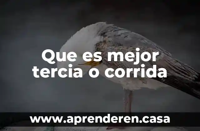 Que es mejor tercia o corrida