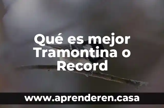 Qué es mejor Tramontina o Record