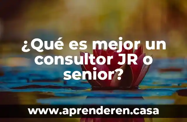 Que es consultor en seccion de libro 7 ¿Qué es mejor un consultor JR o senior?