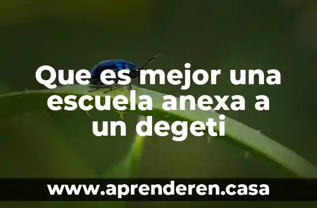 Que es mejor chevrolet o nissan 5 Que es mejor una escuela anexa a un degeti