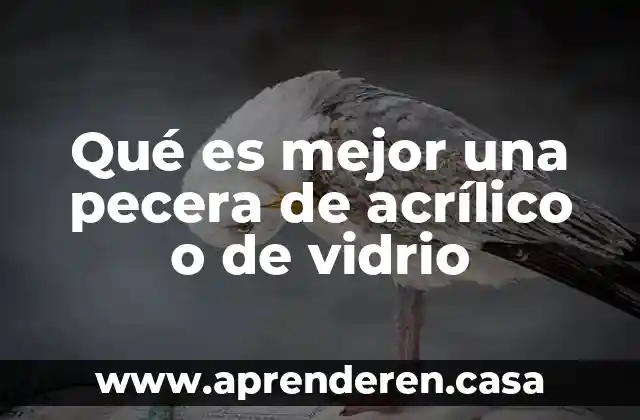 Qué es mejor una pecera de acrílico o de vidrio